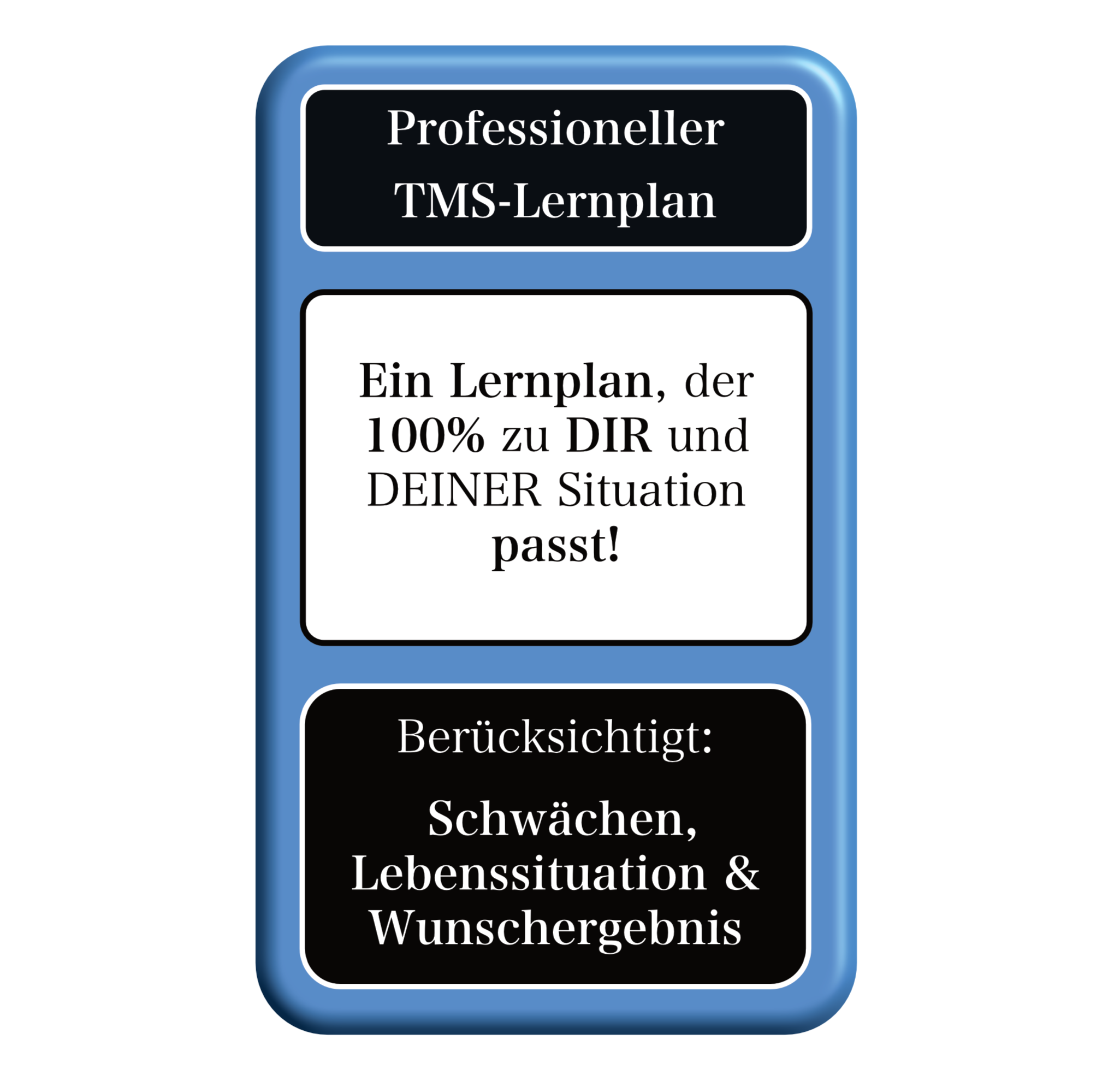 Professioneller TMS-Lernplan